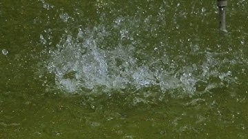 Nikon 1 j5 Slow Motion Sample 120 frames per second