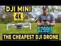 DJI MINI 4K Drone Review - The BEST DRONE for the PRICE !?