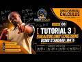 Single Variable Calculus lecture 8: Tutorials Session 3 (Standard Limits)
