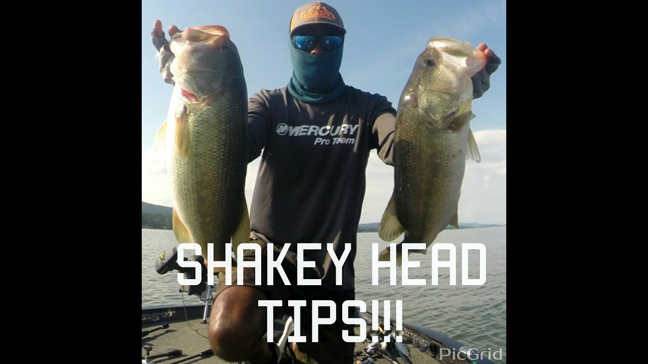 Bass Fishing Baits The best style Shaky head to use! YouTube