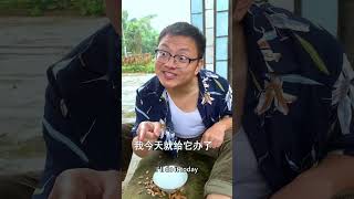 It doesn’t matter, eat first and then talk!|Chinese couple keeps laughing in comedy😂😥🤣