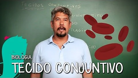 O que fazem parte dos tecidos conjuntivos?
