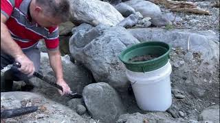 Altin Nasil Bulunur ? Altin Ararken Di̇kkat Edi̇lmesi̇ Gereken Şeyler