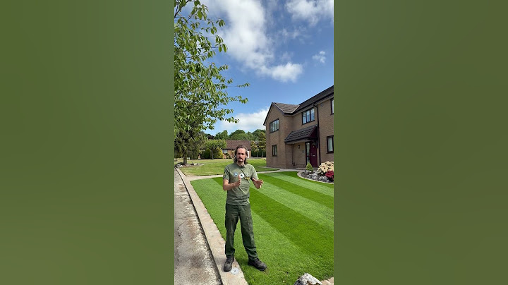 Galactic project new lawn starting