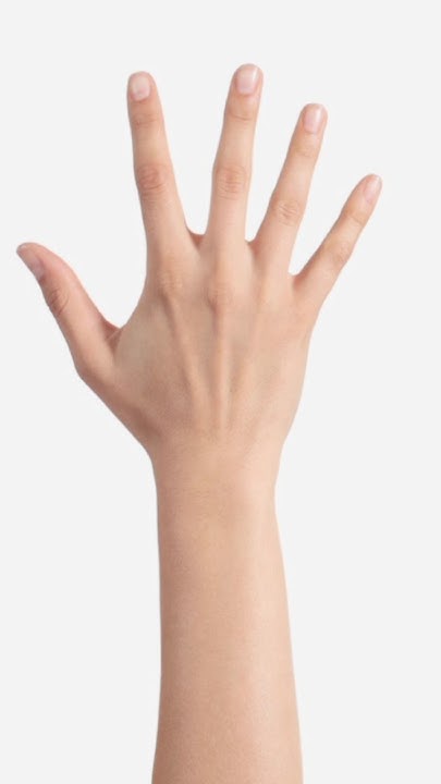 Names Of Fingers In Islam islam knowledge fingers shorts ytshorts names-of-fingers-in-islam-islam-knowledge-fingers-shorts-ytshorts