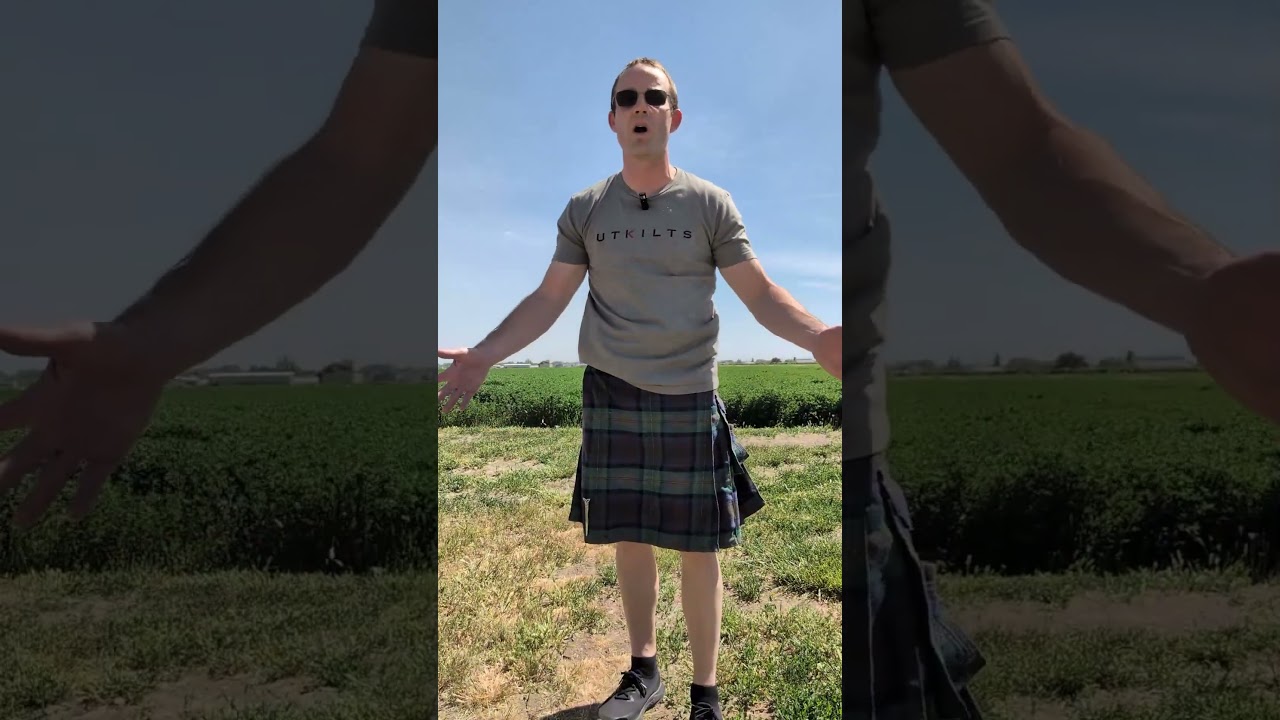 Kilts, Wind, and Zero Regret 💨 