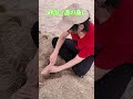 砂浴×龍の施し=完全浄化#shorts