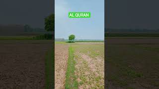 AL QURAN URDU TRANSLATION