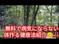 癌を防ぐ健康法紹介‼️あることをすれば癌にならない体を作れると話題‼️チャンネル登録よろしく‼️2026年5月4日‼️