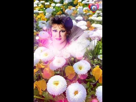 وعملت ايه فينا السنين ورده الجزائريه