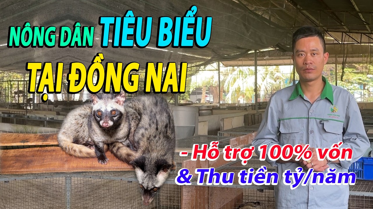NÔNG DÂN TIÊU BIỂU TẠI ĐỒNG NAI CÙNG MÔ HÌNH NUÔI CHỒN HƯƠNG THU BẠC TỶ MỖI NĂM | CHANNUOI.NET