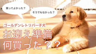 【#29】子犬お迎え準備買ってよかったそうでもなかったゴールデンレトリバーオーストラリアンシェパード