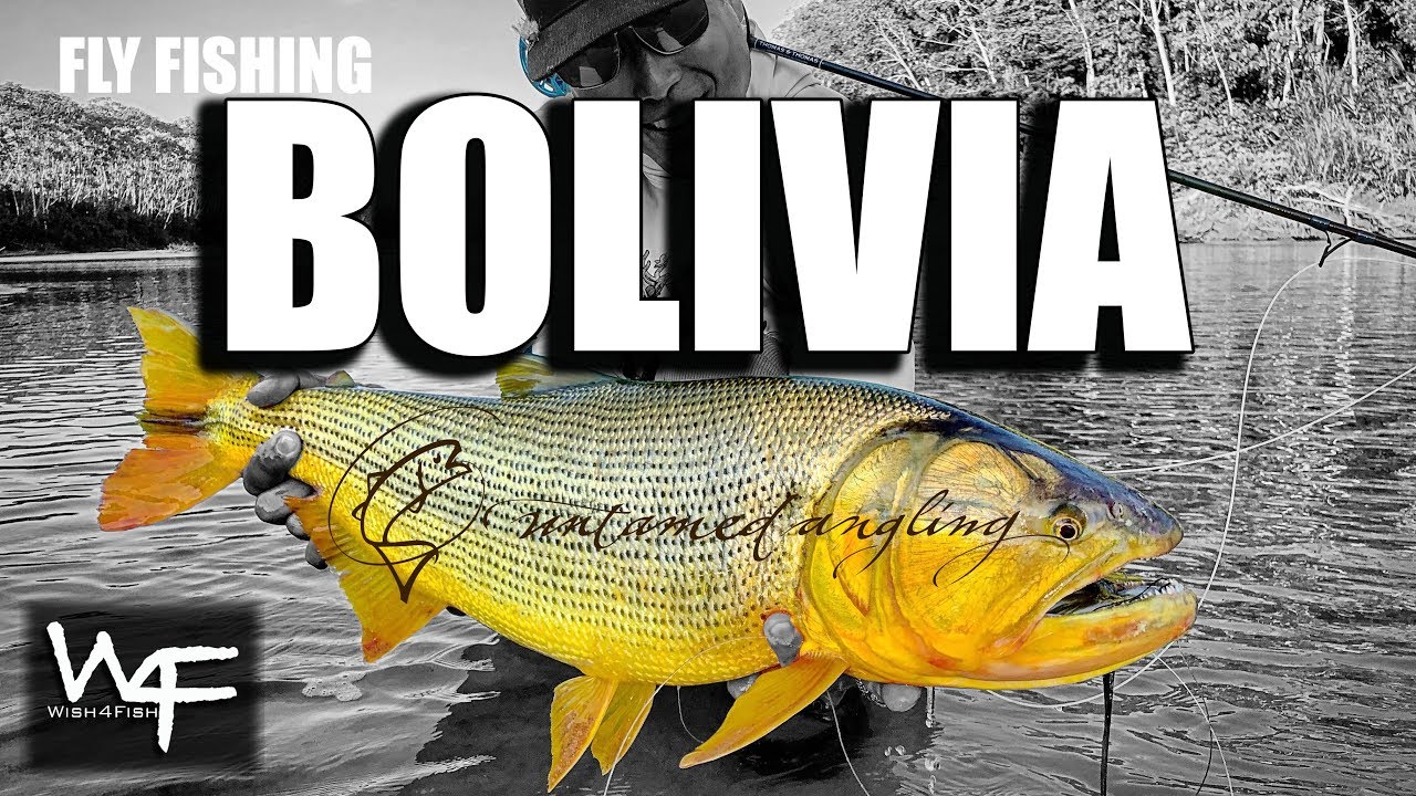 W4F Fly Fishing Golden Dorado "Bolivia" at Tsimane Lodge YouTube