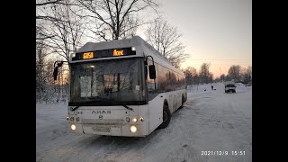 видео: Автобус 685А Ломоносов - Глобицы картинка: Автобус 685А Ломоносов - Глобицы