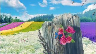 background animasi awan bergerak/ taman bunga / flowers