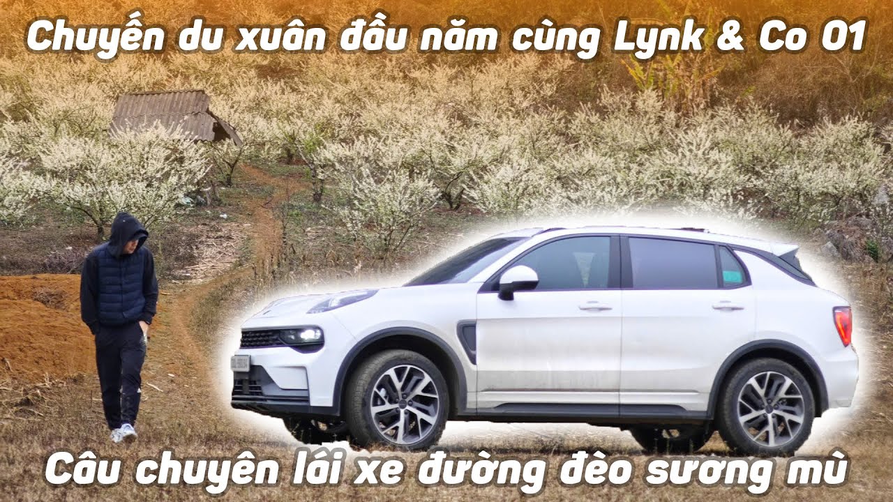 Lên Mộc Châu xem hoa mận nở trắng núi