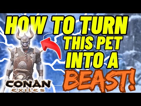 Best Pet Conan Exiles