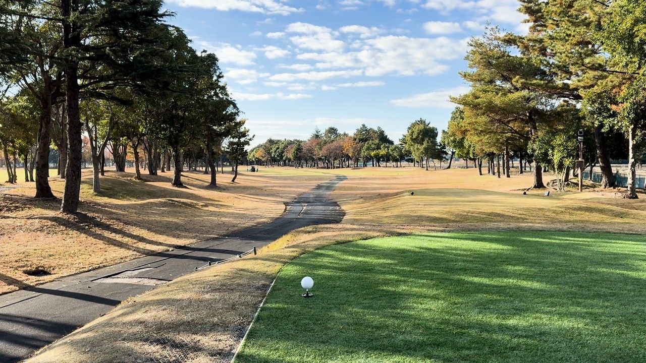 取手桜が丘ゴルフクラブOUT｜コースコンディション映像（25年11月)