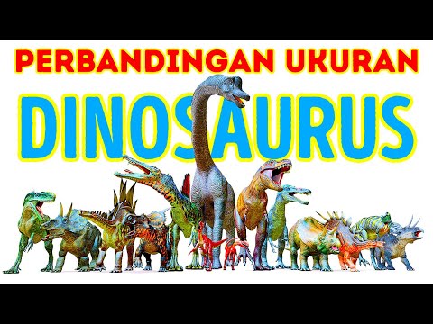 Perbandingan Ukuran Dinosaurus dari yang Terbesar sampai Terkecil