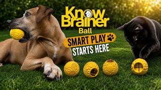 Know Brainer Ball