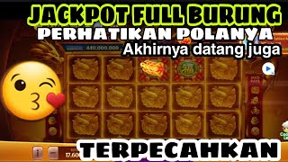 TERBARU ‼️ JACKPOT FULL BURUNG DUOFU DUOCAI 🔥🔥🔥😳