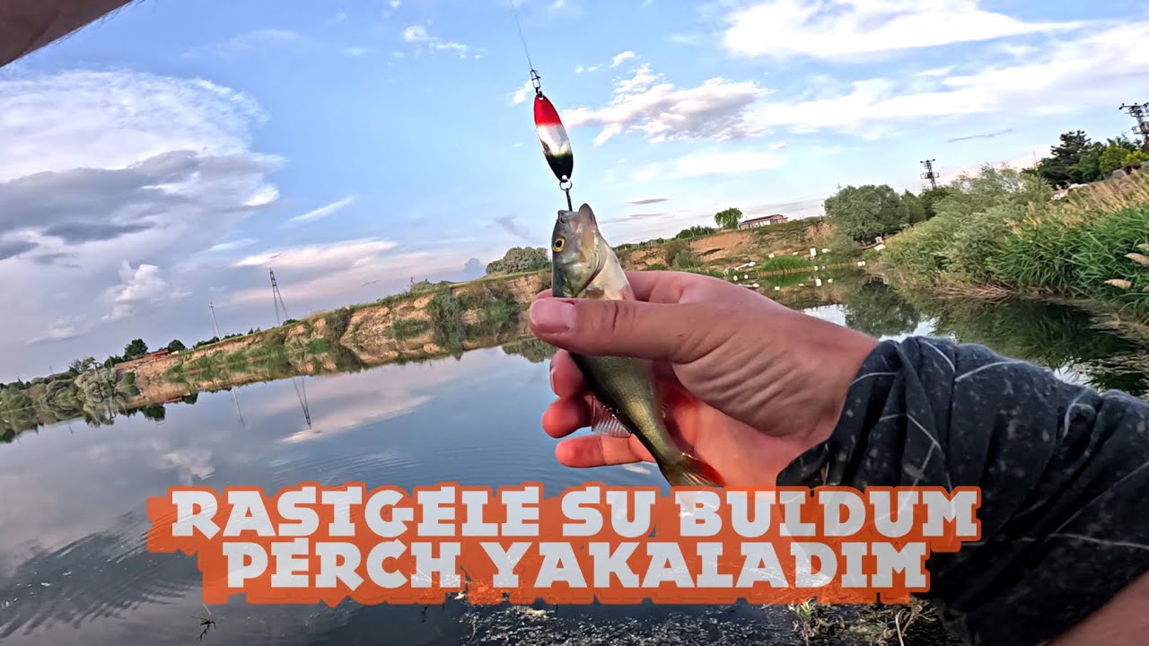 Haritalarda Bulduğum Gölette Perch Yakaladım | Çeşitli Yemleri Gösterdim | Haziran 2023