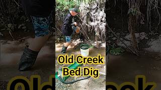 I Found The Old Creek Bed - Will I Find Gold? #shorts #goldprospecting #goldpanning #microgold