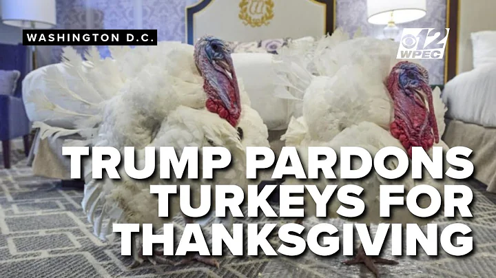 Trump pardons turkeys, Gobble and Waddle, at the White House ahead of Thanksgiving