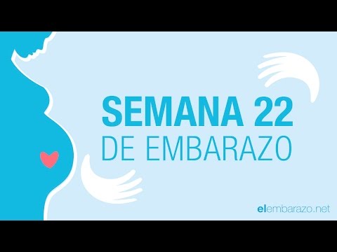 Video: 22 Semanas De Embarazo: Sensaciones, Desarrollo Fetal
