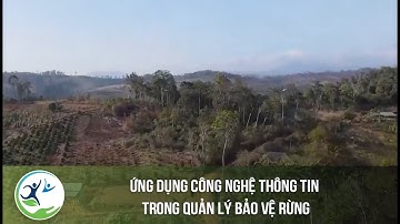 Ứng dụng công nghệ thông tin trong quản lý bảo vệ rừng