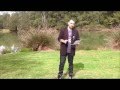 Control and Impact of the Cane Toad (bufo marinus) in Australia. Scott Mckeown 17526887.