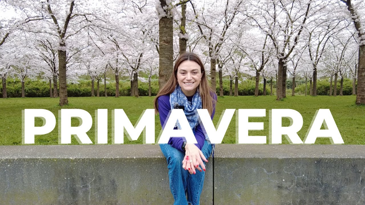 Arrumação, cerejeiras e a Páscoa na Holanda