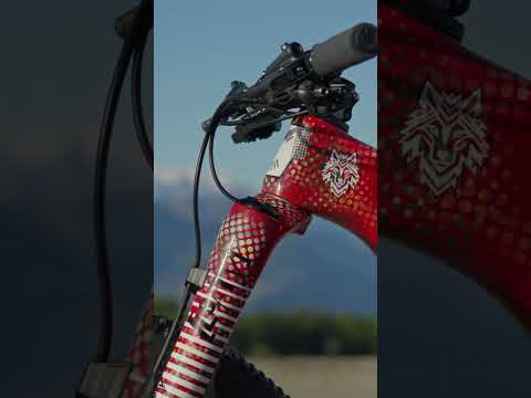 These CUSTOM PAINTED LAB71 Scalpels 😮‍💨🔥 #shorts #ridecannondale #mtb #bikelife