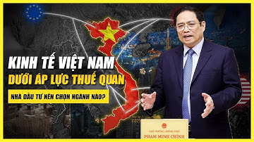 BỨC TRANH KINH TẾ VIỆT NAM  DƯỚI ÁP LỰC THUẾ QUAN - NHÀ ĐẦU TƯ NÊN CHỌN NGÀNH NÀO?