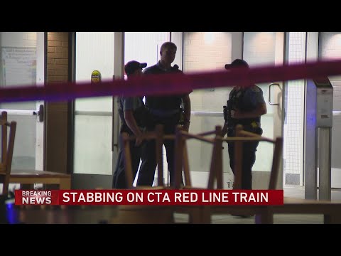 At least 5 stabbed on CTA Red Line train