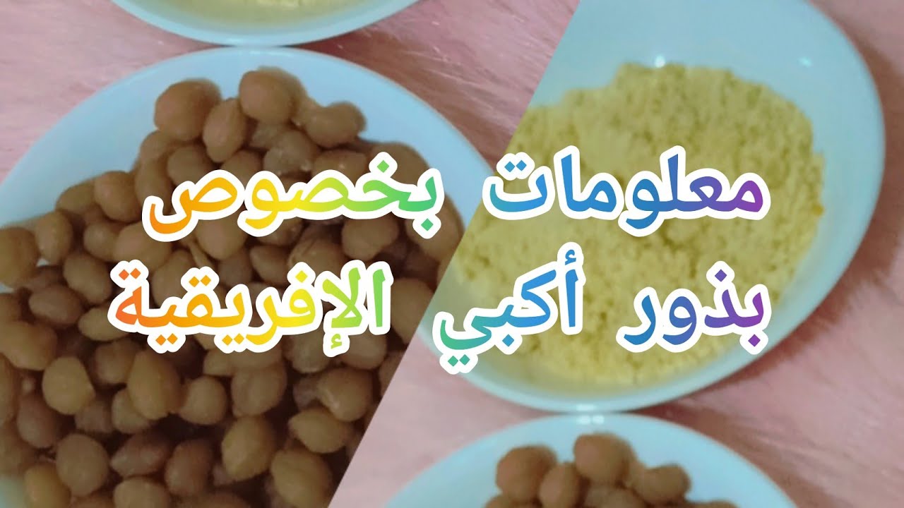 الإجابة على أسئلة بخصوص بذور أكبي الإفريقية وعدة توضيحات