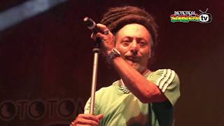 AFRICA UNITE live @ Main Stage 2015