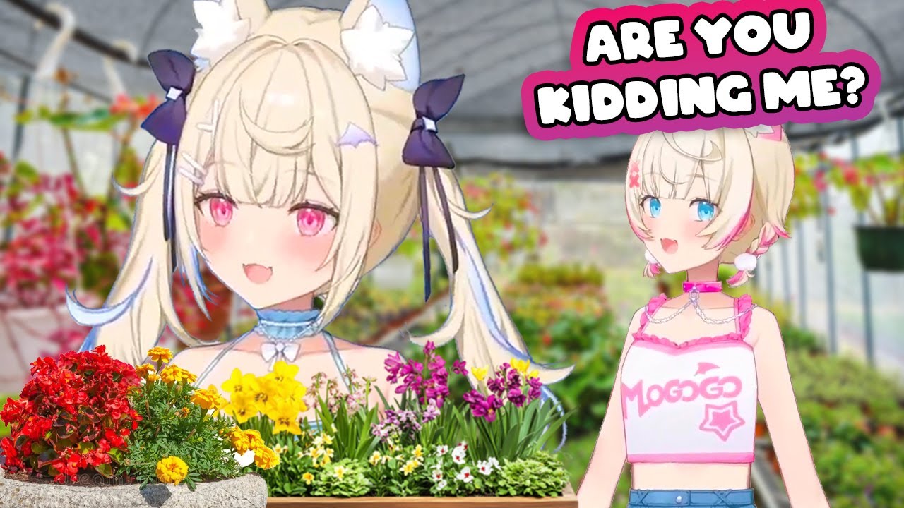 Mococo does NOT believe in Fuwawa's dream job