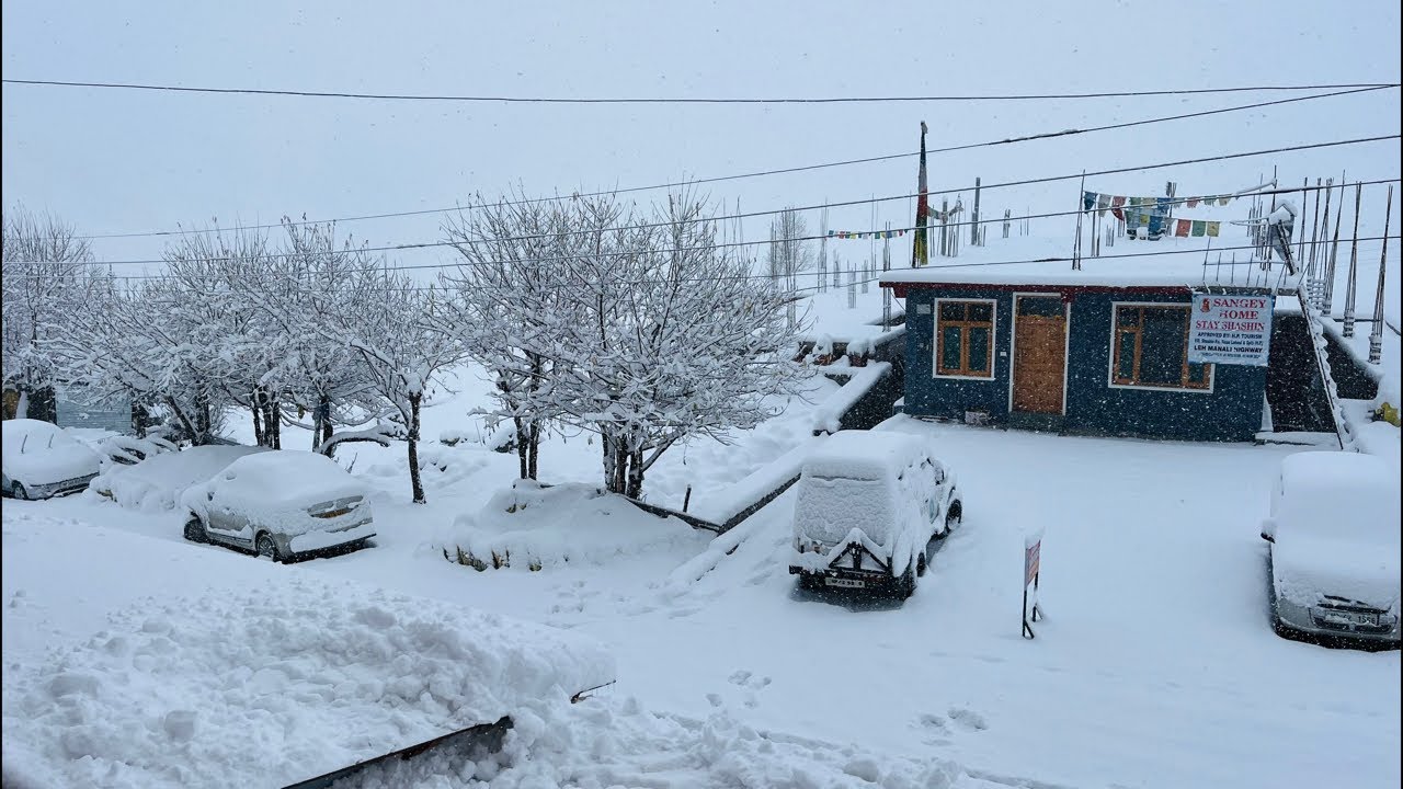 Snow ❄️ Fall