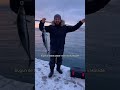I LOVE FISH IN THE ISTANBUL, VERY DELICIOUS 😝🤩 #viral #istanbul #short #fishing