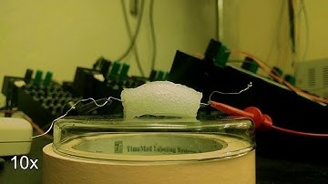 soft robot etoh actuator