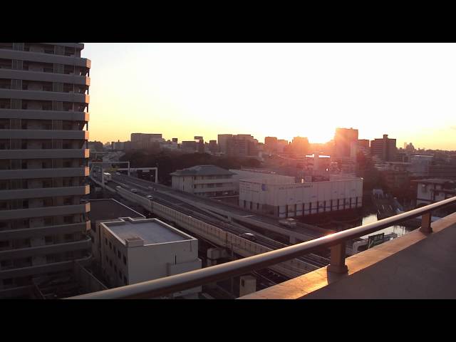 【自然音・環境音】東京の夕暮れ