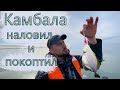 Наловил и подкоптил камбалу | Сахалин