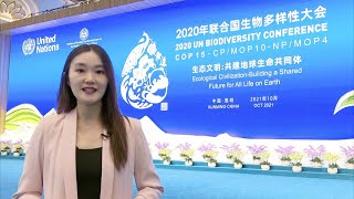 GLOBALink | What do COP15 attendees say about Kunming Declaration?