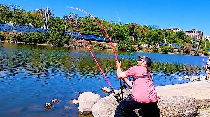 BANK Fishing for DAY Time Flathead Catfish!! (Don't do This)