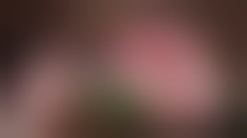 The M Chapter 2: 2018 "M"