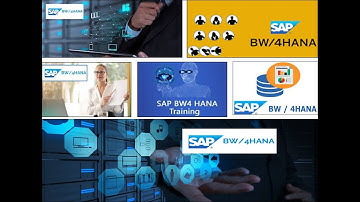 SAP BW/4 HANA Masterclass || 30. SAP Design Studio