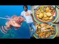 Scorpion Fish Catch & Cook | Steamed Fish And Crackers - Spearfishing Adventure