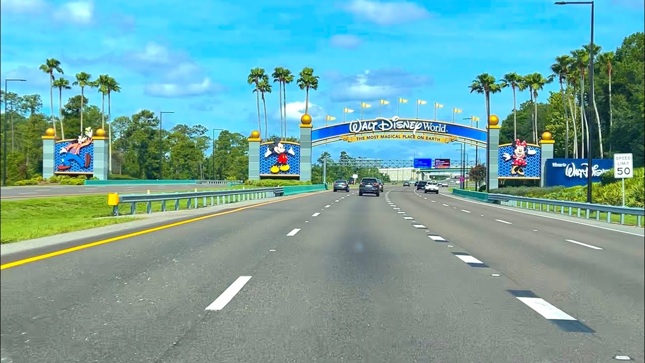 Поездка в Walt Disney World 2024