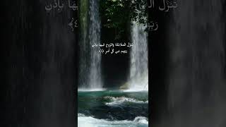 Al-Qadr surah #muhammadong  #qurantilawat #nature  #shorts